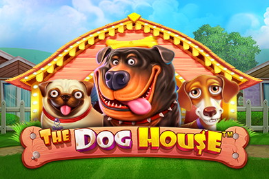 The Dog House Алго Казино слот